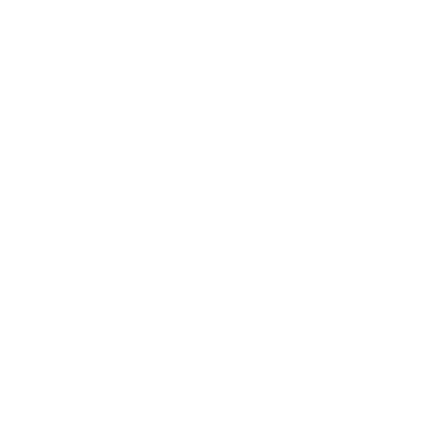 SFlex